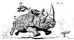 White minority government in Rhodesia declares independence