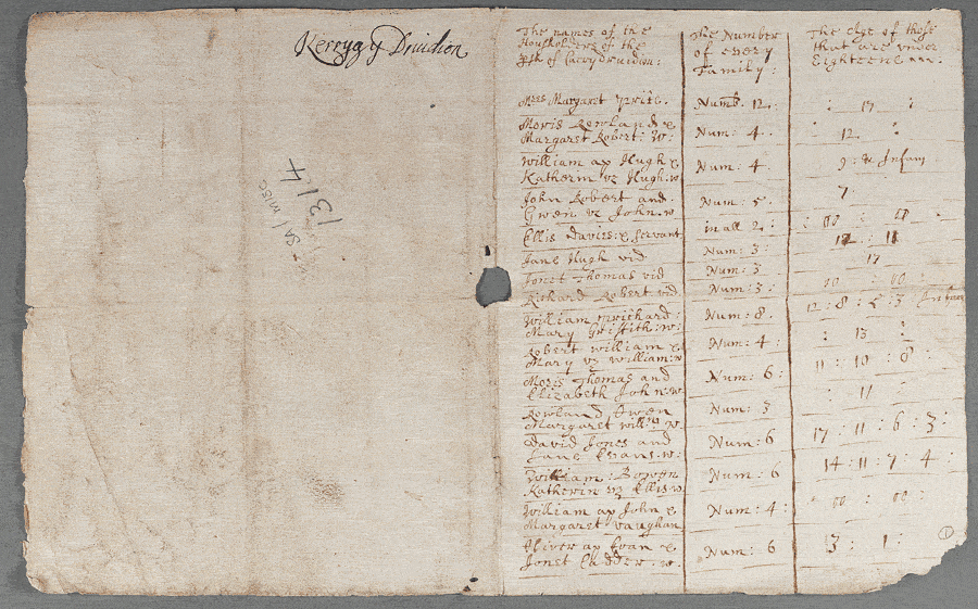 notitiae llanelwy - llawysgrif