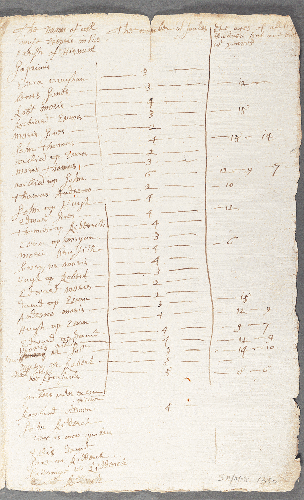 notitiae llanelwy - llawysgrif