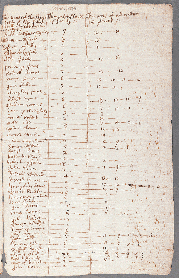 notitiae llanelwy - llawysgrif