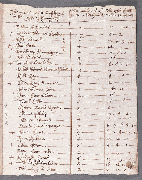 notitiae llanelwy - llawysgrif