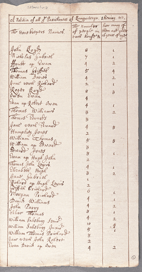 notitiae llanelwy - llawysgrif