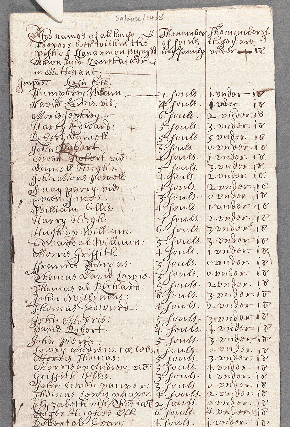 notitiae llanelwy - llawysgrif