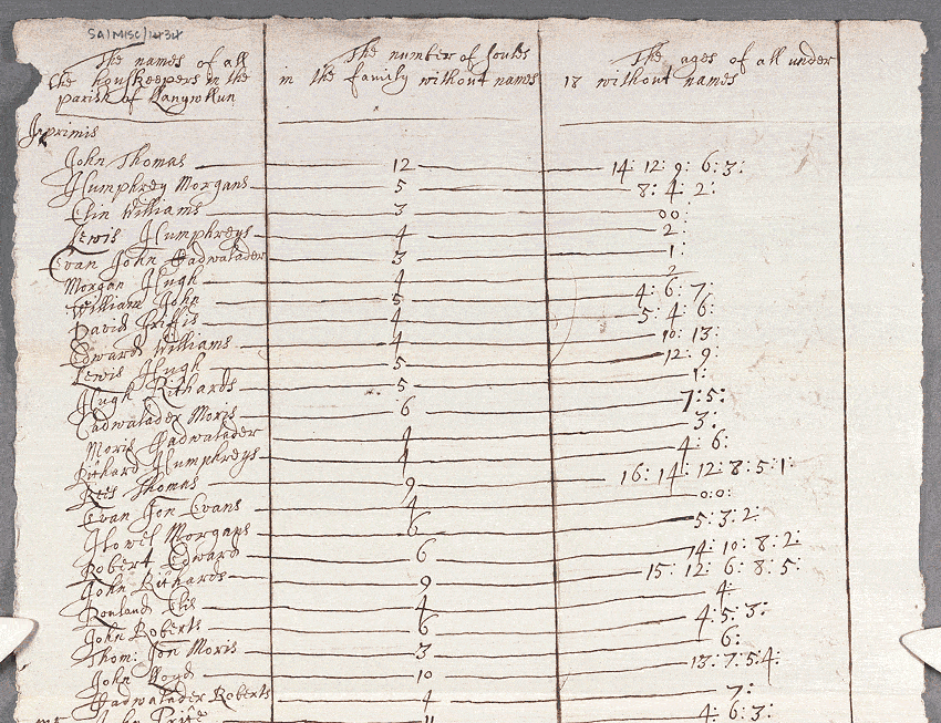 notitiae llanelwy - llawysgrif