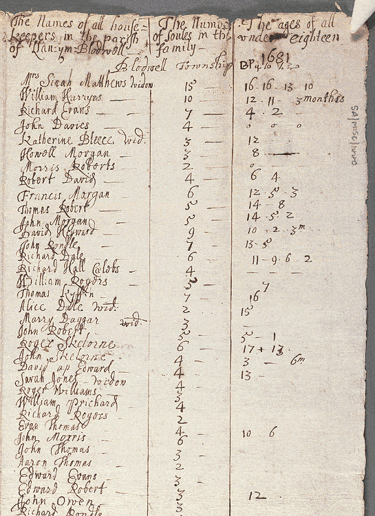 notitiae llanelwy - llawysgrif