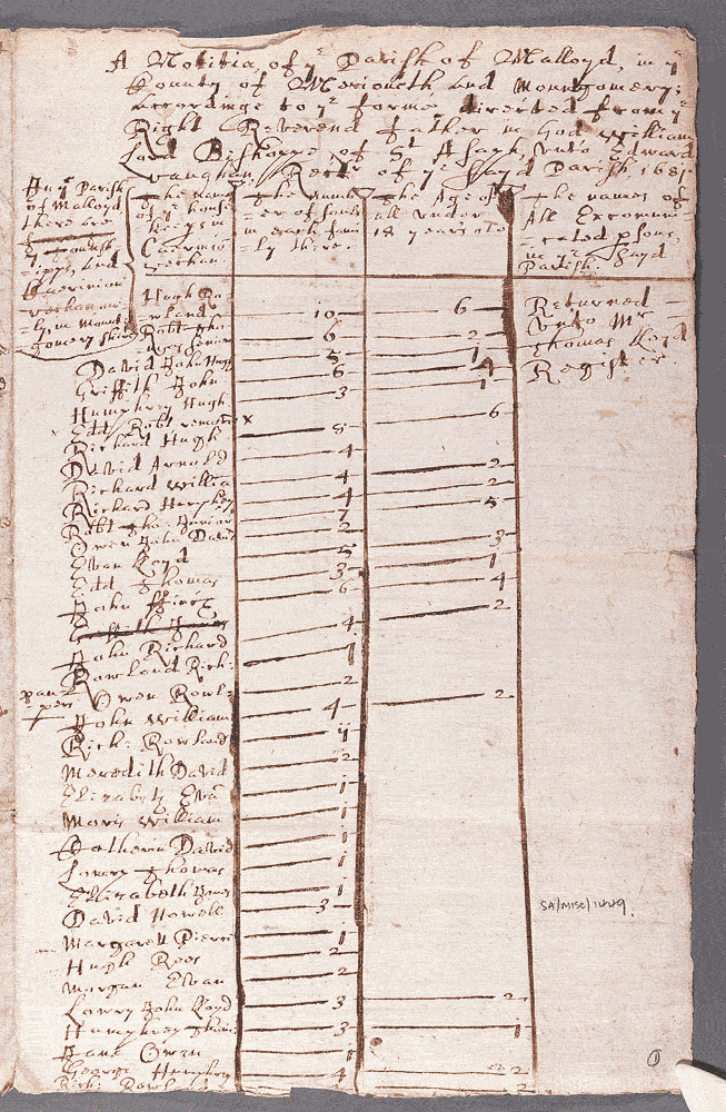 notitiae llanelwy - llawysgrif