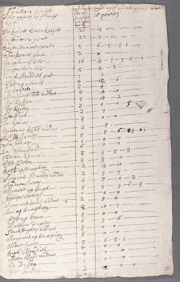 notitiae llanelwy - llawysgrif