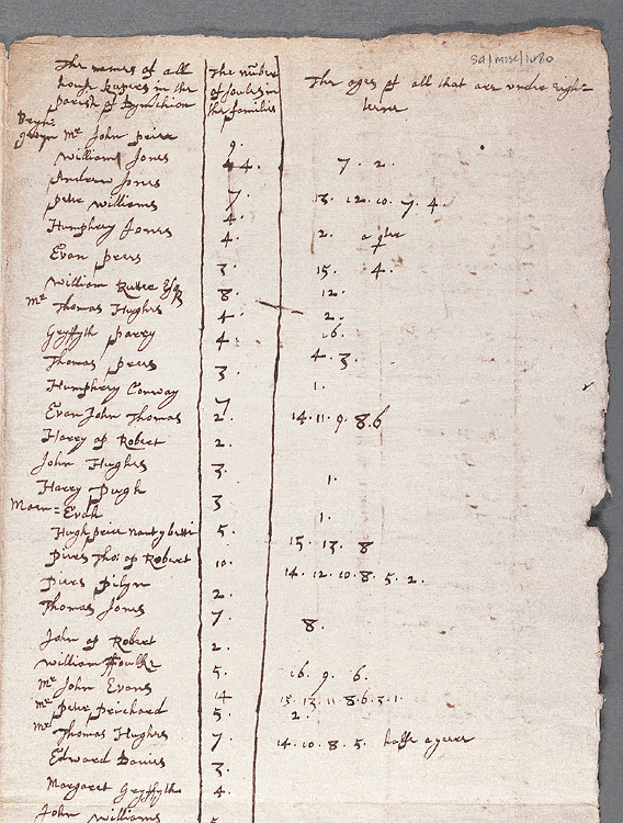 notitiae llanelwy - llawysgrif