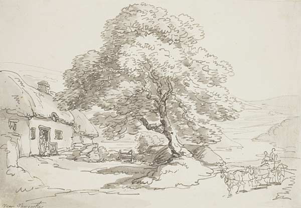 Ger Castellnewydd Emlyn / Near Newcastle