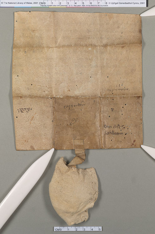 NLW Wynnstay Estate Records, Ystrad Marchell charter no.5 (back)