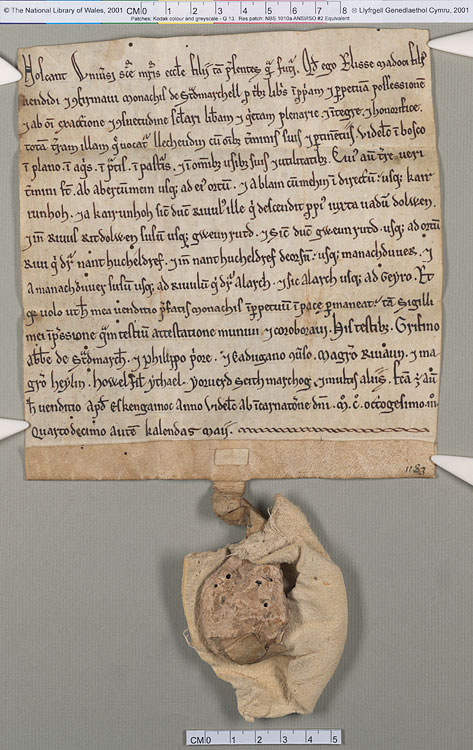 NLW Wynnstay Estate Records, Ystrad Marchell charter no.5 (front)