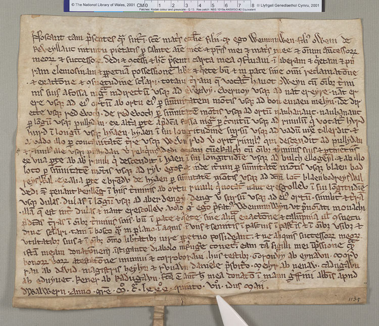 NLW Wynnstay Estate Records, Ystrad Marchell charter no.11 (front)