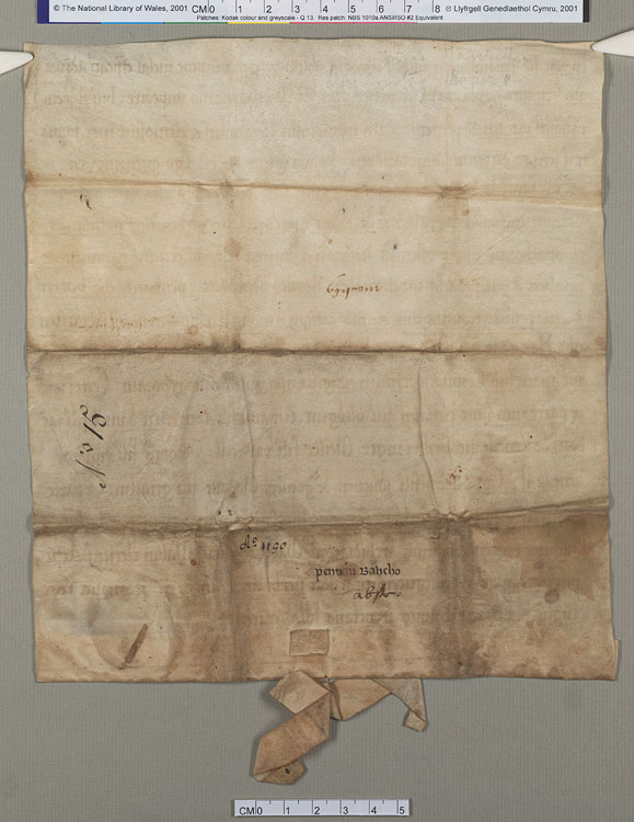 NLW Wynnstay Estate Records, Ystrad Marchell charter no.14 (front)