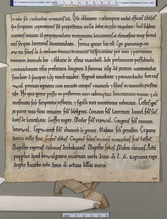 NLW Wynnstay Estate Records, Ystrad Marchell charter no.14 (front)