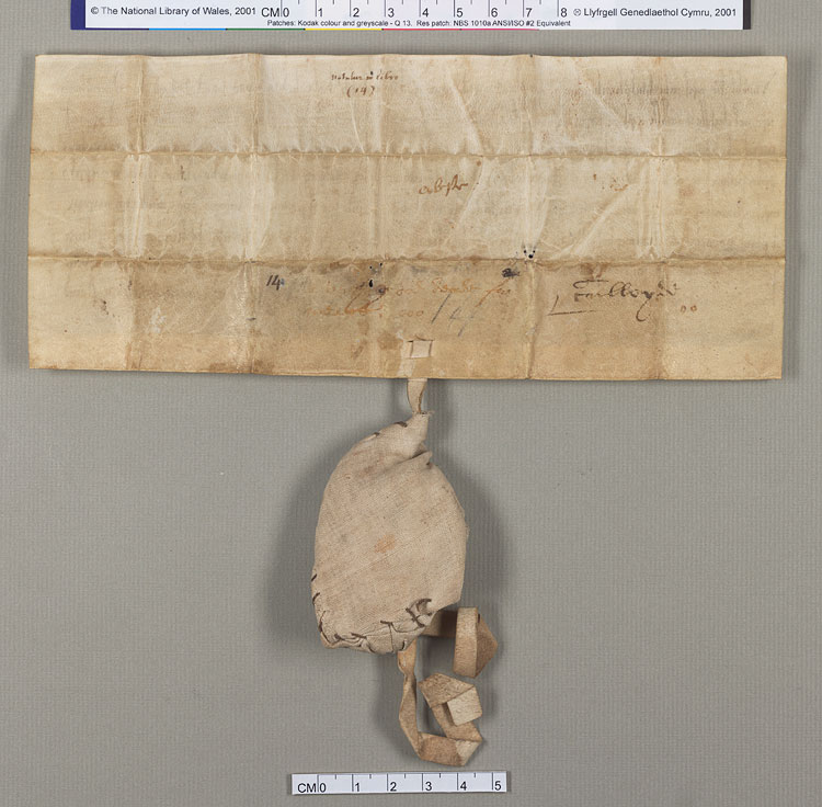 NLW Wynnstay Estate Records, Ystrad Marchell charter no.18 (back)