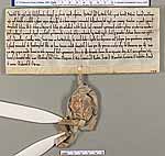 NLW Wynnstay Estate Records, Ystrad Marchell charter no.18 (front)