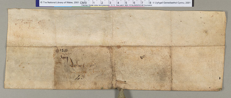 NLW Wynnstay Estate Records, Ystrad Marchell charter no.23 (front)