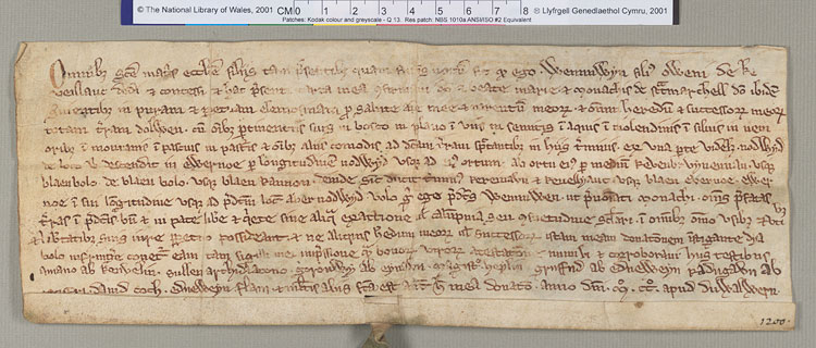 NLW Wynnstay Estate Records, Ystrad Marchell charter no.23 (front)