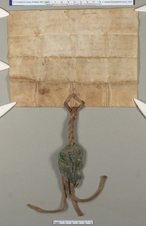 NLW Wynnstay Estate Records, Ystrad Marchell charter no.25 (back)