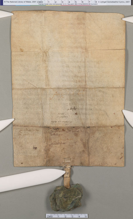 NLW Wynnstay Estate Records, Ystrad Marchell charter no.34 (back)