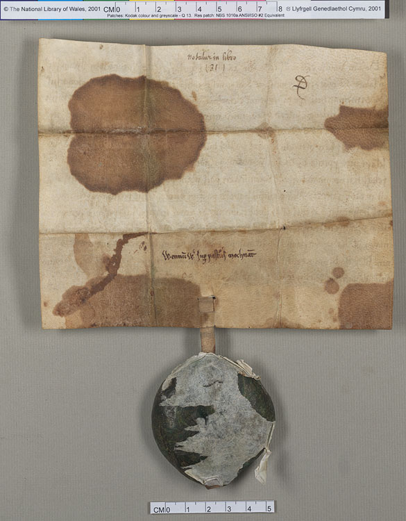 NLW Wynnstay Estate Records, Ystrad Marchell charter no.41 (back)