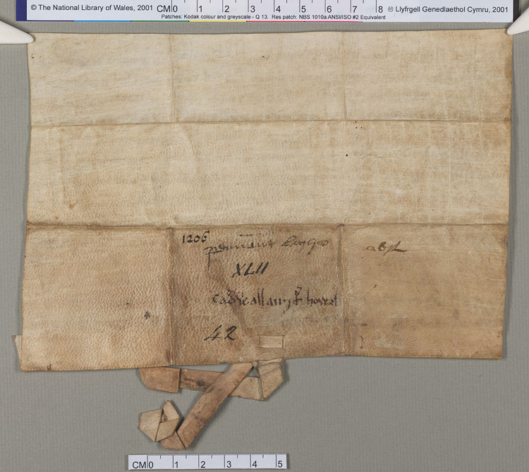 NLW Wynnstay Estate Records, Ystrad Marchell charter no.42 (back)