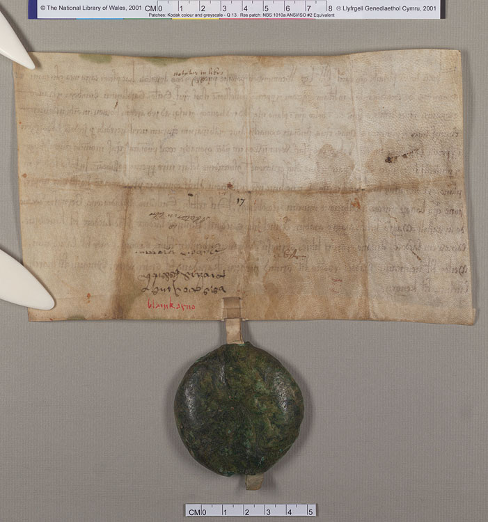 NLW Wynnstay Estate Records, Ystrad Marchell charter no.50 (back)