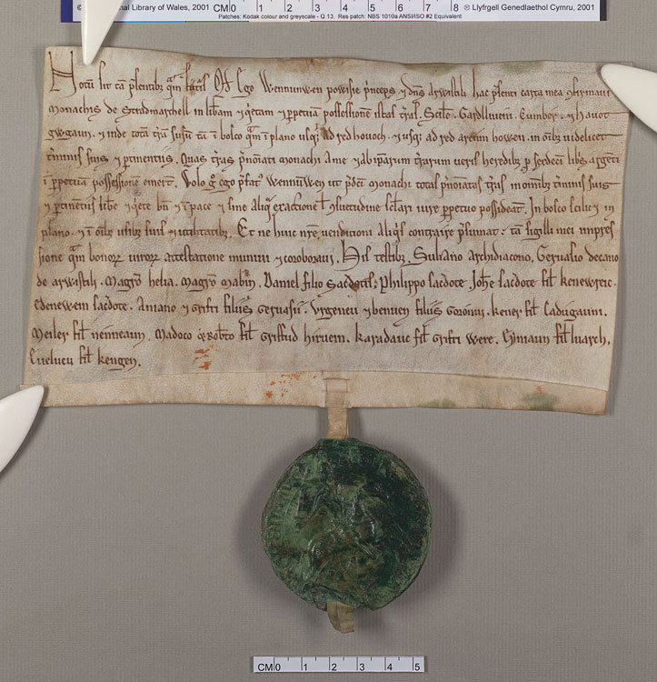 NLW Wynnstay Estate Records, Ystrad Marchell charter no.50 (front)