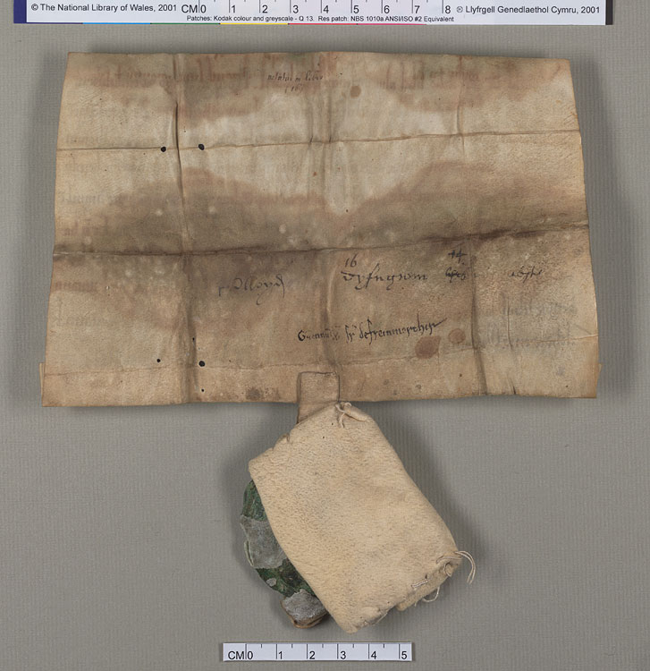 NLW Wynnstay Estate Records, Ystrad Marchell charter no.51 (back)