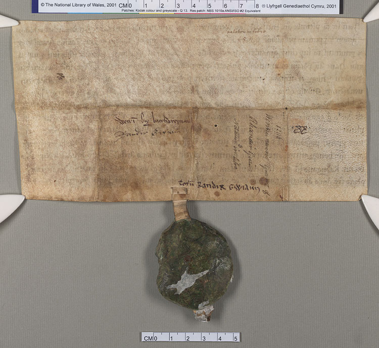 NLW Wynnstay Estate Records, Ystrad Marchell charter no.53 (back)