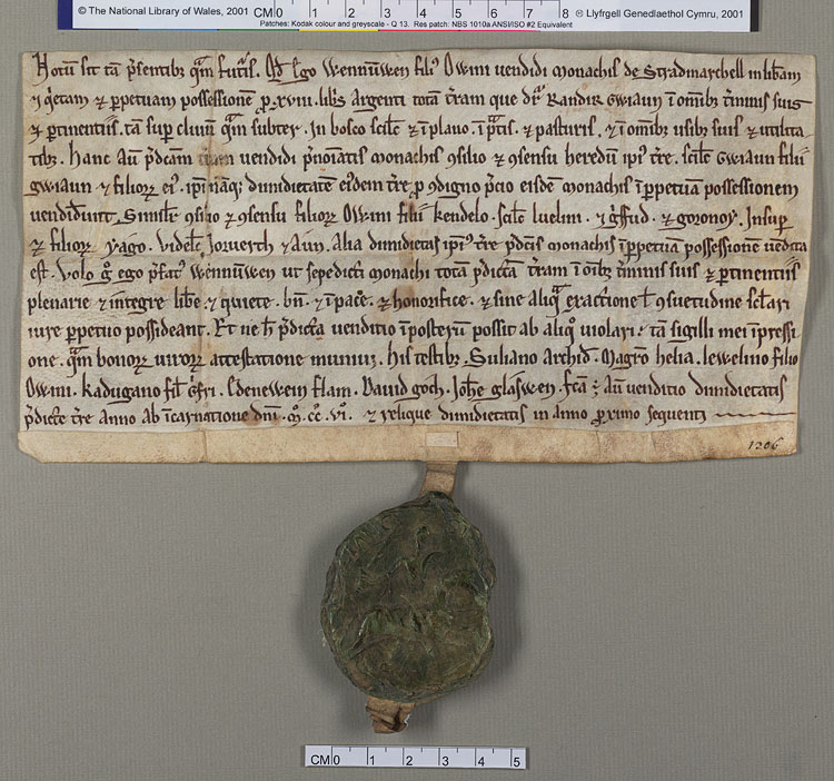 NLW Wynnstay Estate Records, Ystrad Marchell charter no.53 (front)