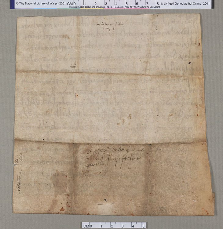 NLW Wynnstay Estate Records, Ystrad Marchell charter no.54 (back)