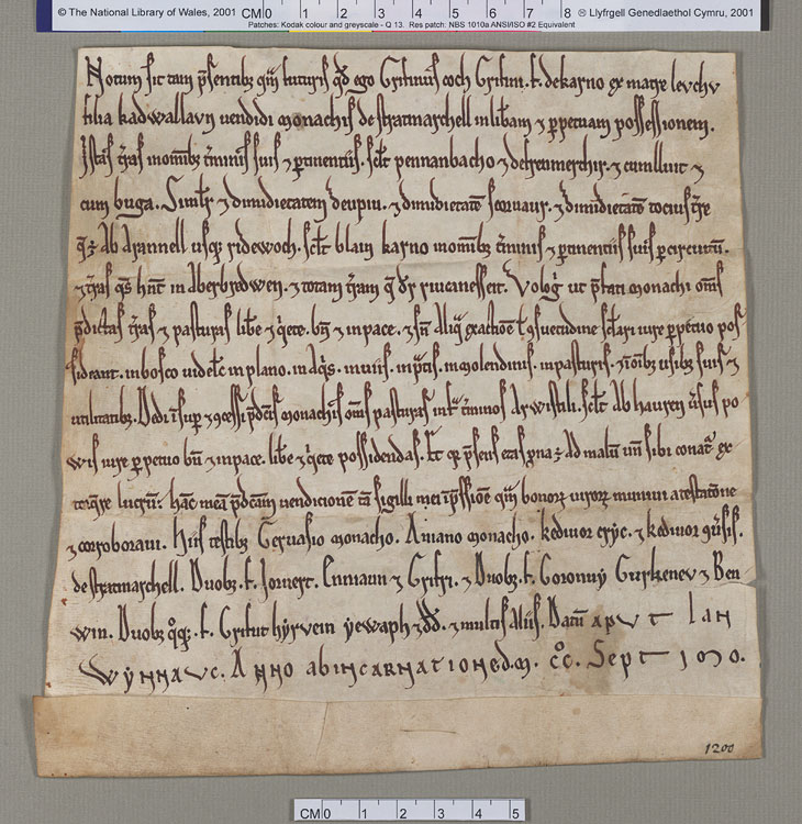 NLW Wynnstay Estate Records, Ystrad Marchell charter no.54 (front)