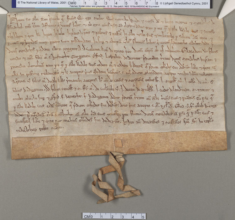 NLW Wynnstay Estate Records, Ystrad Marchell charter no.55 (front)