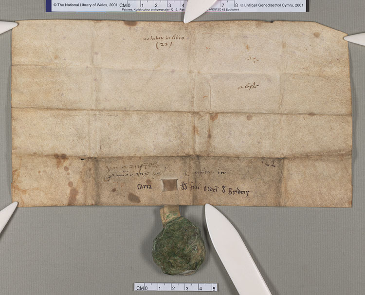 NLW Wynnstay Estate Records, Ystrad Marchell charter no.59 (back)