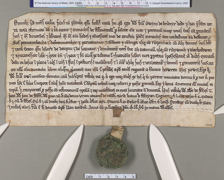 NLW Wynnstay Estate Records, Ystrad Marchell charter no.59 (front)