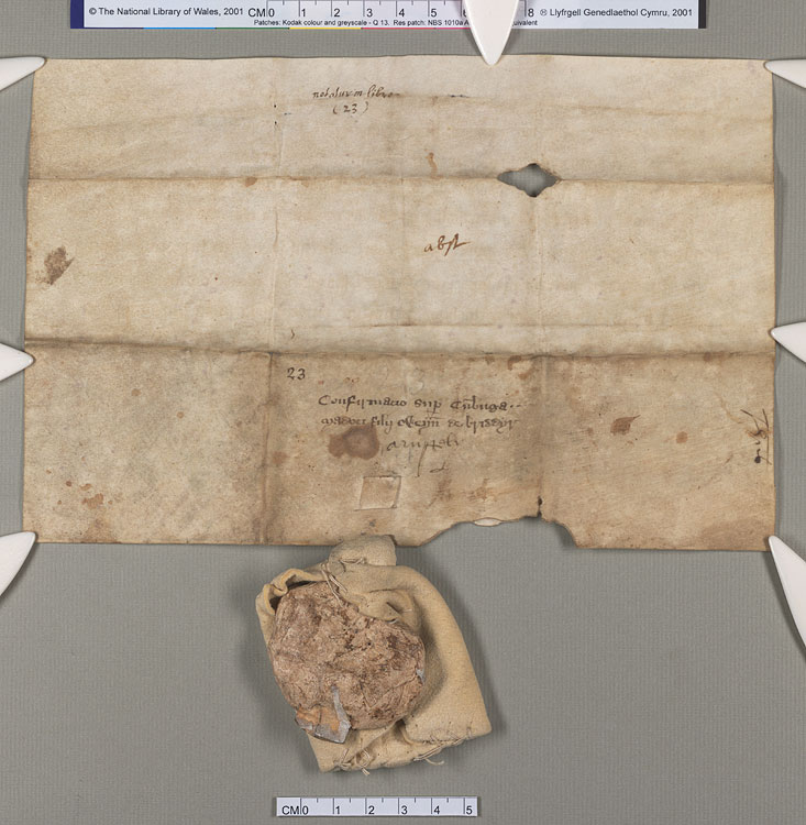 NLW Wynnstay Estate Records, Ystrad Marchell charter no.60 (back)