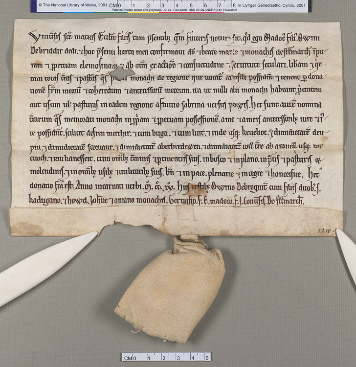 NLW Wynnstay Estate Records, Ystrad Marchell charter no.60 (front)