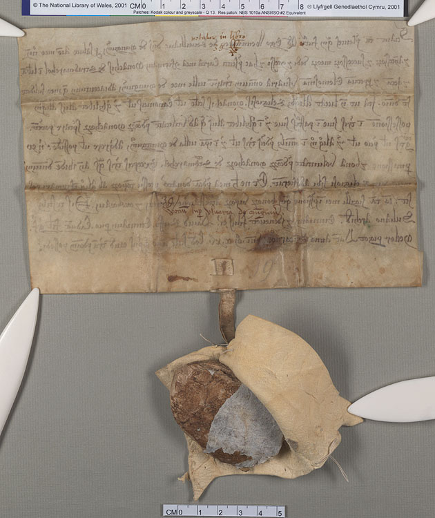 NLW Wynnstay Estate Records, Ystrad Marchell charter no.62 (back)