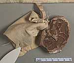 NLW Wynnstay Estate Records, Ystrad Marchell charter no.62 (seal)