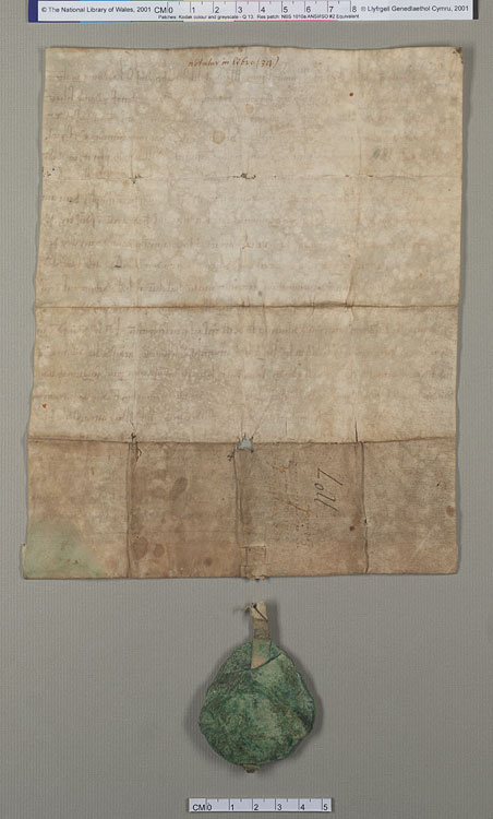 NLW Wynnstay Estate Records, Ystrad Marchell charter no.64 (back)