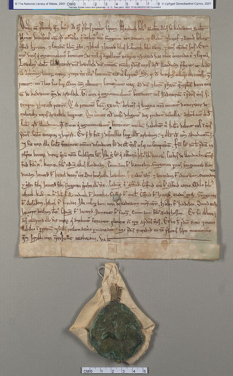 NLW Wynnstay Estate Records, Ystrad Marchell charter no.64 (front)