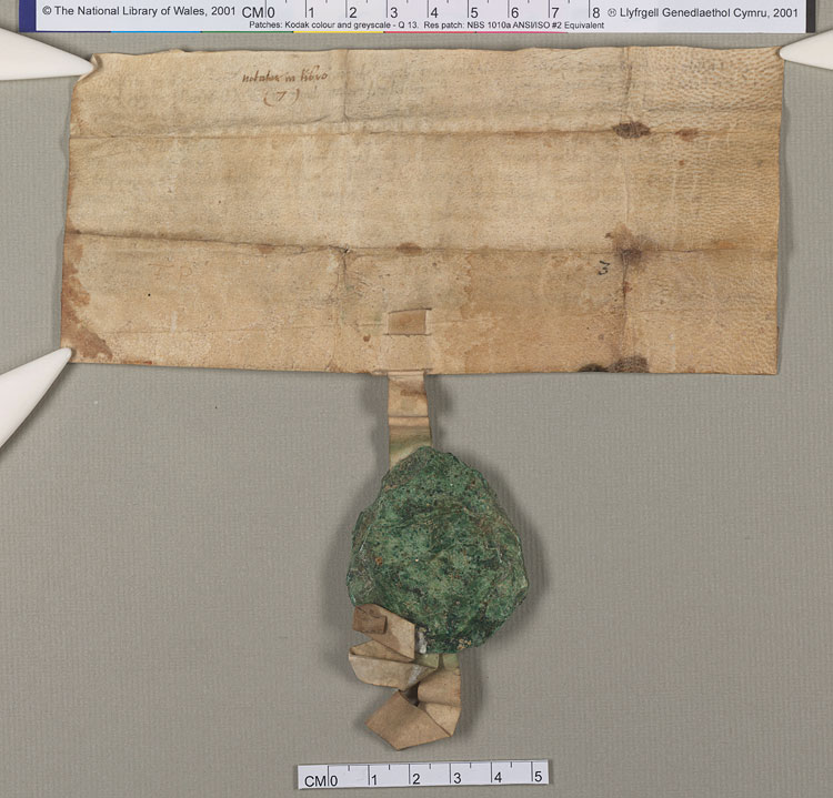 NLW Wynnstay Estate Records, Ystrad Marchell charter no.65 (back)