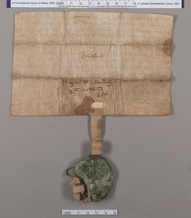 NLW Wynnstay Estate Records, Ystrad Marchell charter no.80 (back)