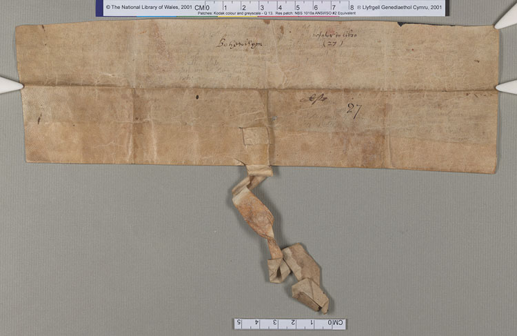 NLW Wynnstay Estate Records, Ystrad Marchell charter no.82 (back)