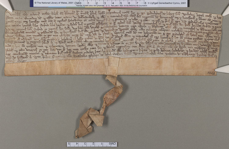 NLW Wynnstay Estate Records, Ystrad Marchell charter no.82 (front)