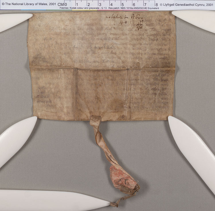 NLW Wynnstay Estate Records, Ystrad Marchell charter no.86 (back)