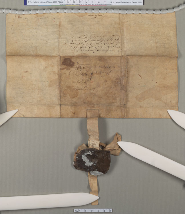 NLW Wynnstay Estate Records, Ystrad Marchell charter no.88 (back)