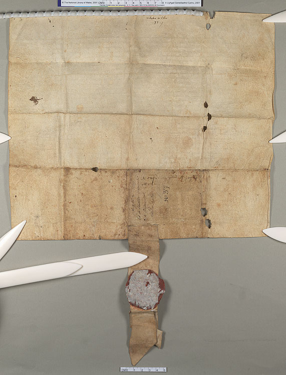 NLW Wynnstay Estate Records, Ystrad Marchell charter no.89 (back)