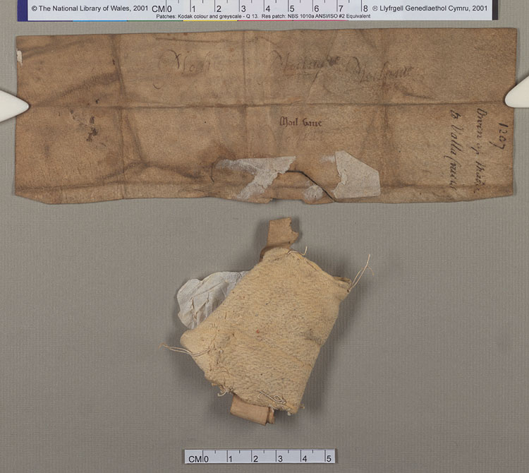 NLW Wynnstay Estate Records, Ystrad Marchell charter no.101 (back)